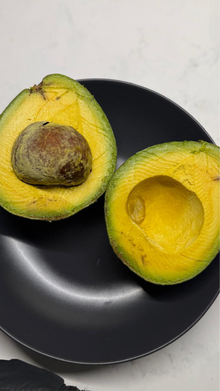 Jamaican Avocado