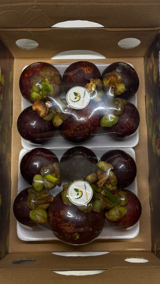 Indonesian Mangosteen