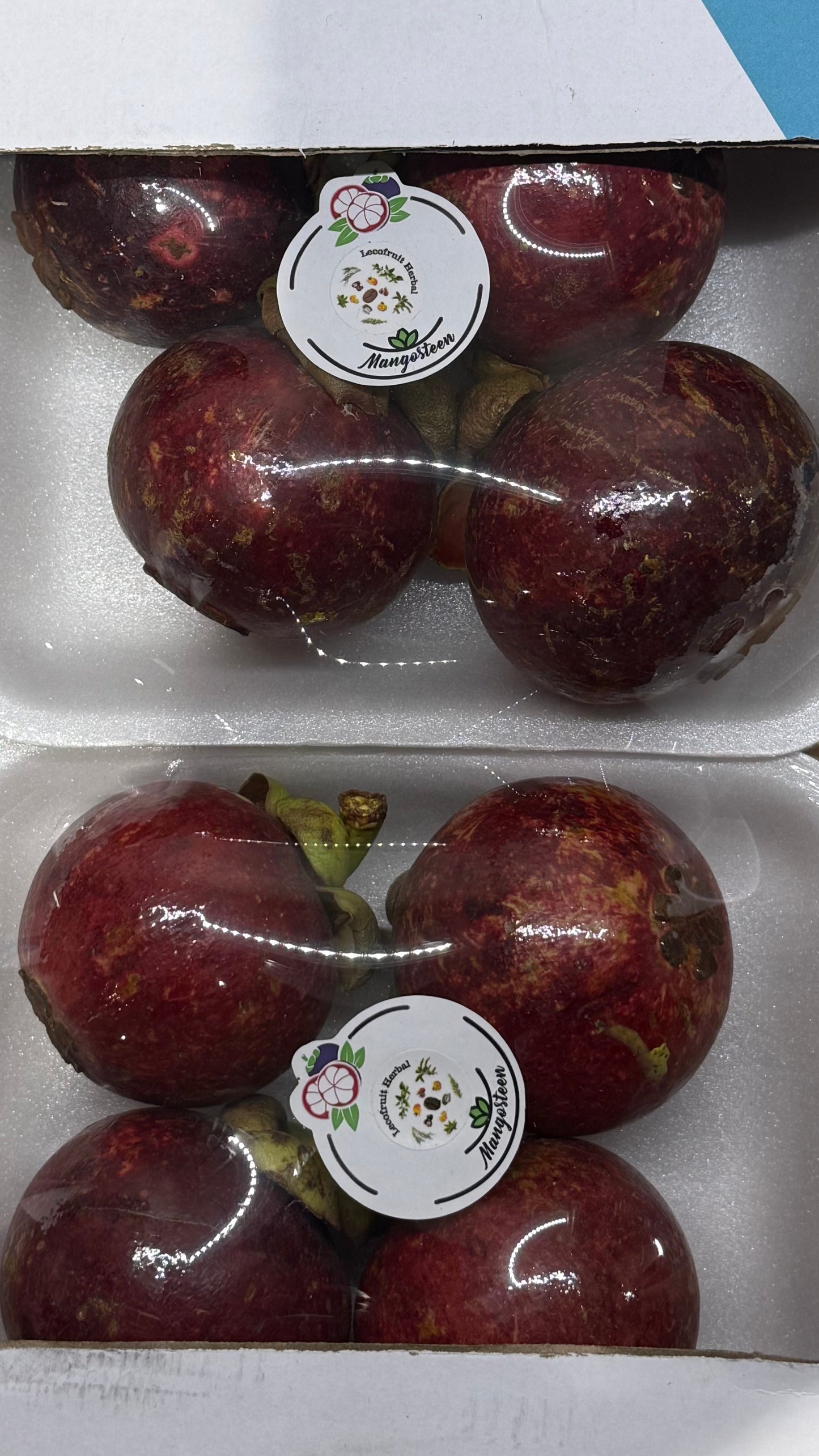 Brazilian Mangosteen